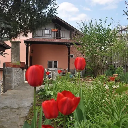 Vilata